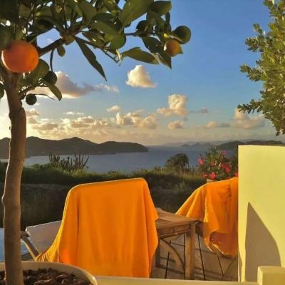 足球竞彩app手机app下载