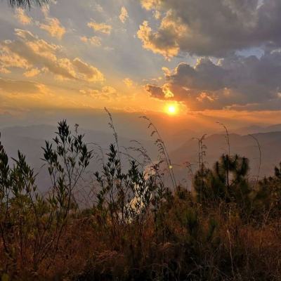 半岛综合娱乐appapp下载