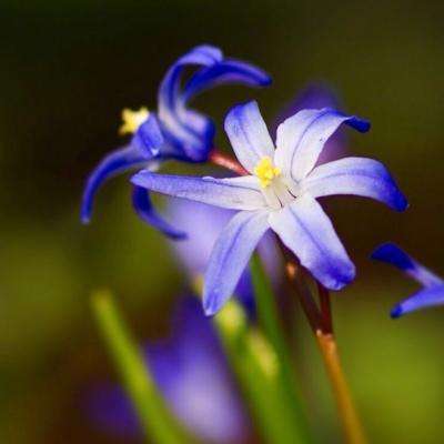 易倍手机app下载